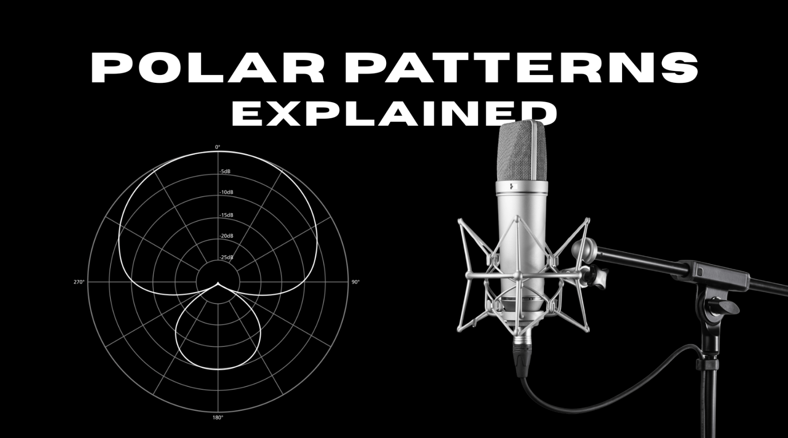 Microphone Polar Patterns Explained: Which One is Best for You? - Editors Keys