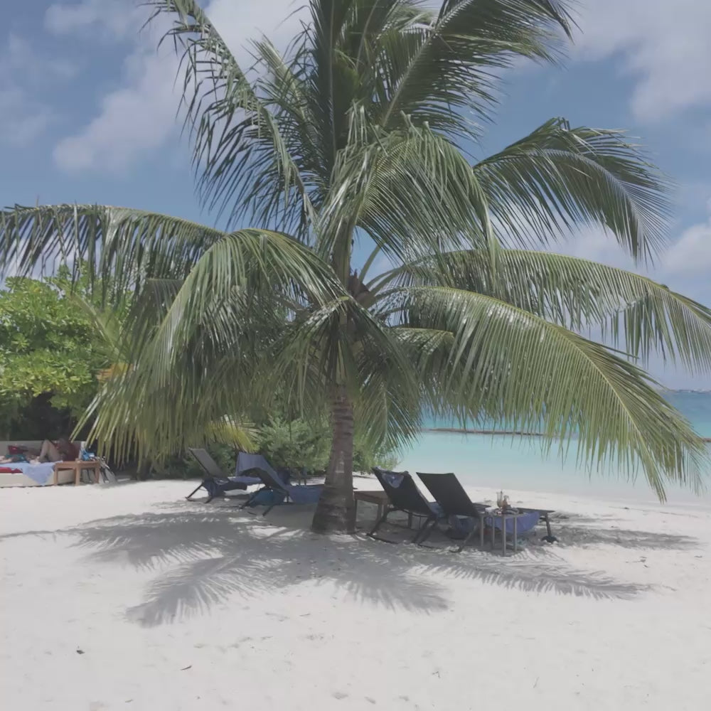 DJI D-LOG M Luts