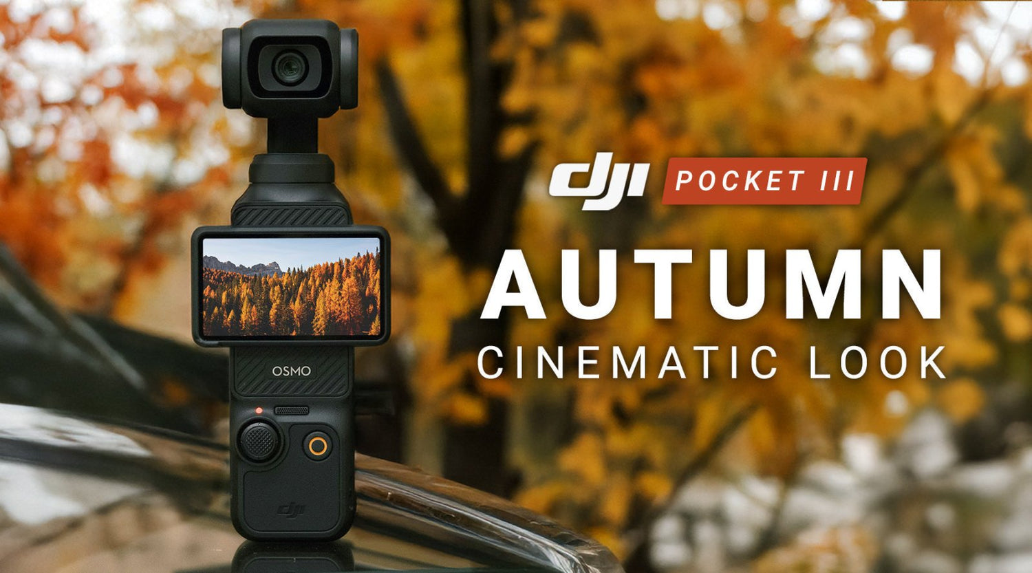 DJI Autumn LUT Pack - Transform Your Autumnal Footage in Seconds! - Editors Keys