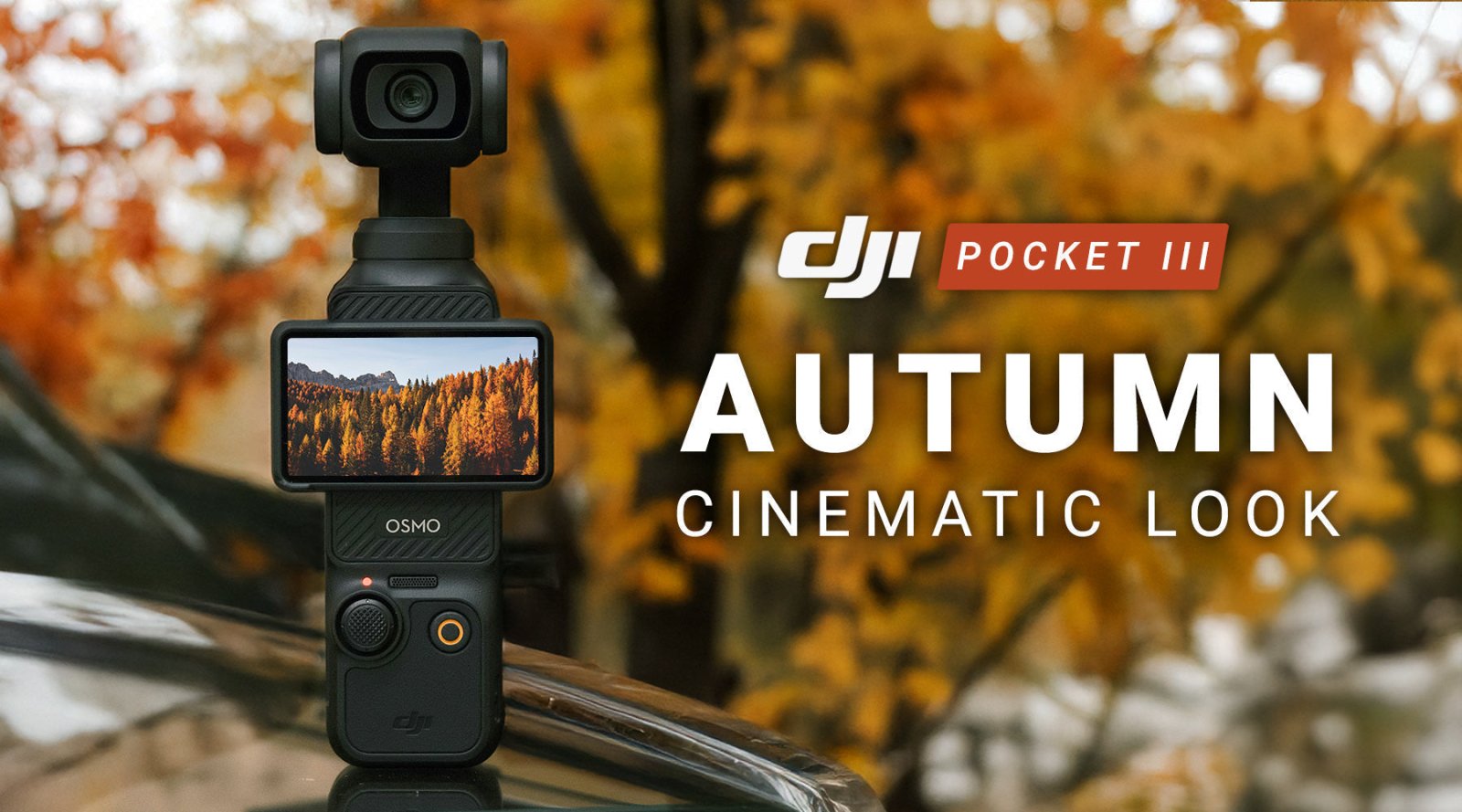DJI Autumn LUT Pack - Transform Your Autumnal Footage in Seconds! - Editors Keys