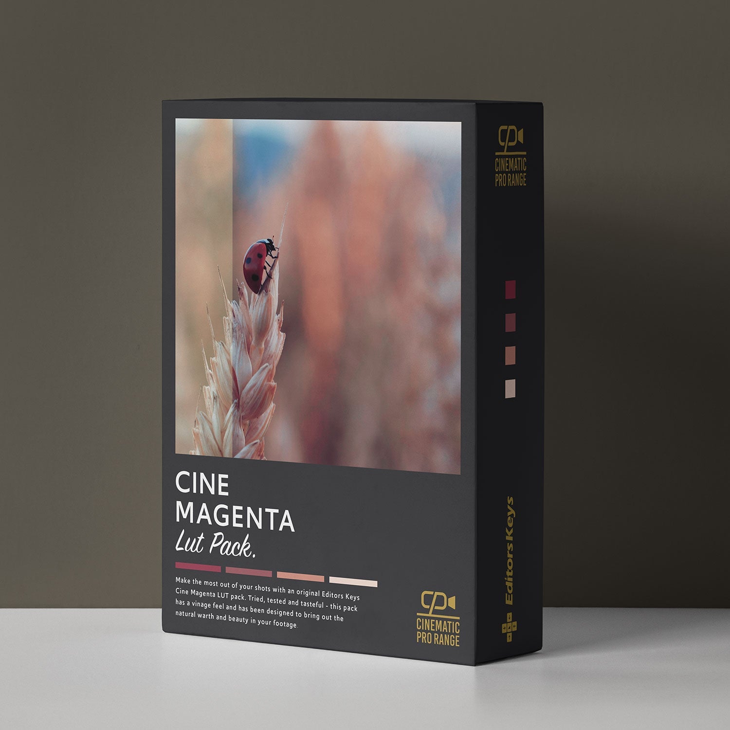 Cinematic PRO Lut Pack - 5 Pack - Editors Keys